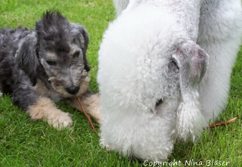 Svet & Alanus 05062006-5.jpg - ASCII